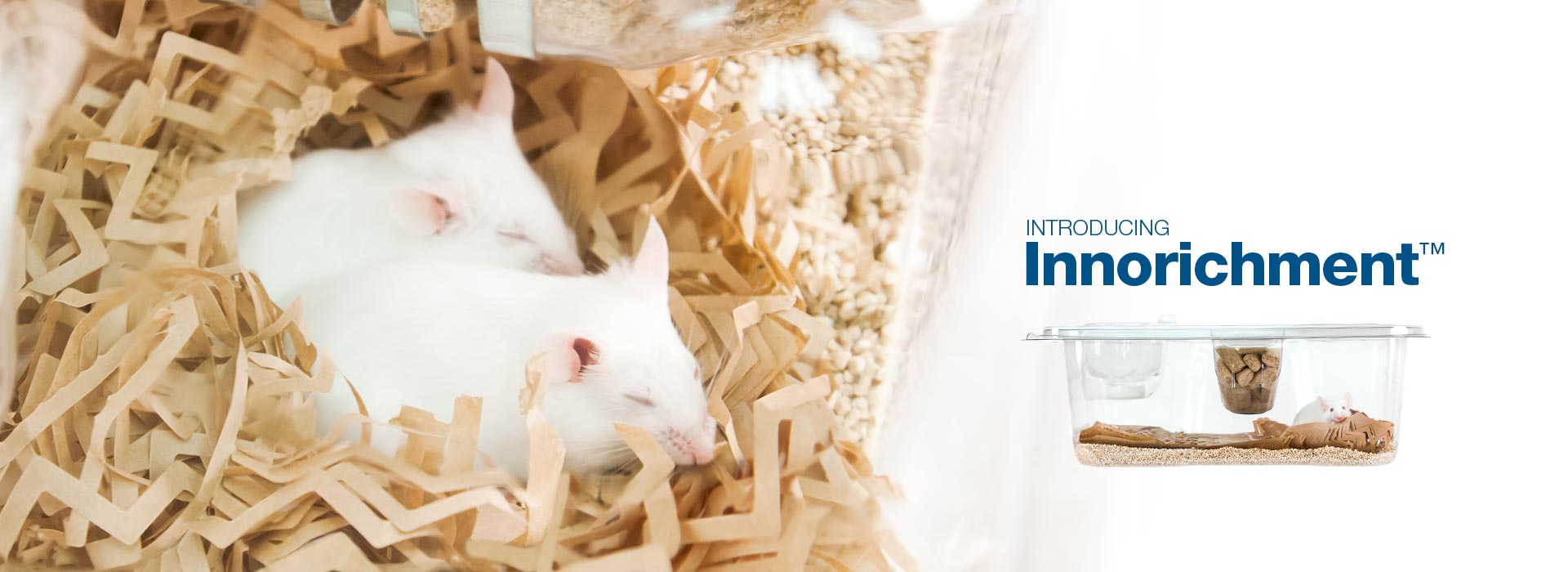 Innovive Innorichment Rodent Nesting Enrichment